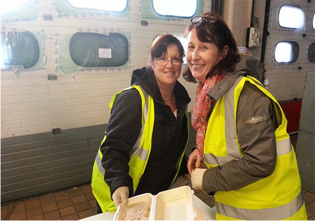 Community Spirtit Volunteers